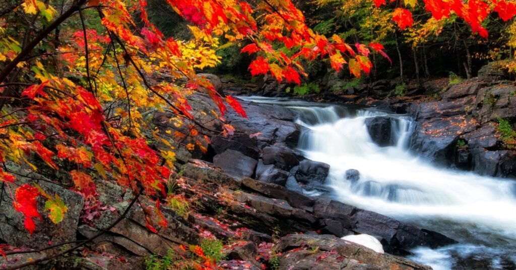 Stunning waterfall amidst vibrant autumn foliage and rocky terrain in Ontario.
