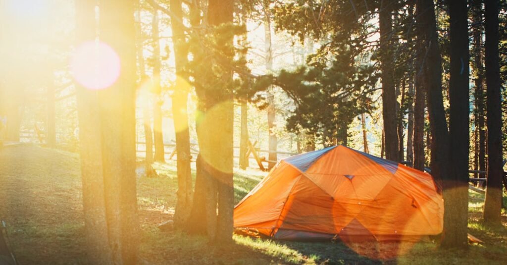 Orange tent in a sunlit forest, perfect for a summer camping adventure.