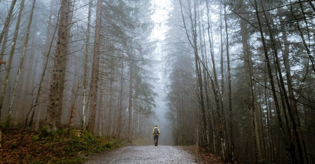 pexels-photo-397096-397096 A lone traveler walks through a foggy forest in Grainau, enhancing the serene nature scene.
